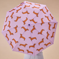 Saucisse-chien | Parapluie-canard